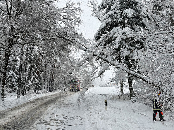 Nittenau Fire Department: storm damages on 02/02 - 02/03/2023