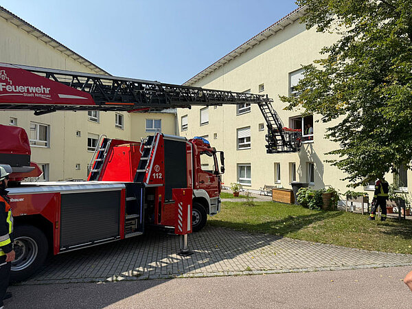 Ladder rescue