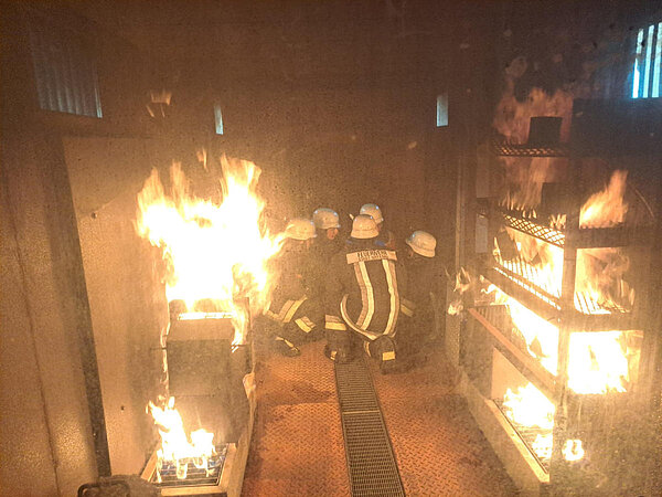 Training inside the container