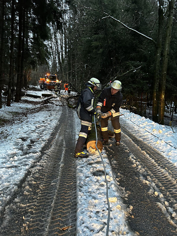 Nittenau Fire Department: storm damages on 02/02 - 02/03/2023