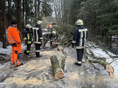 Nittenau Fire Department: storm damages on 02/02 - 02/03/2023