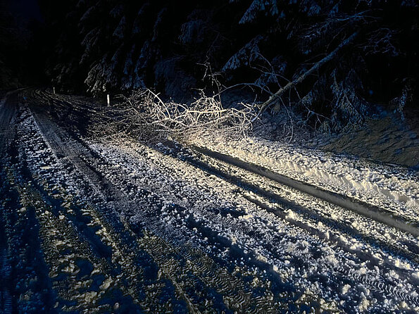 Nittenau Fire Department: storm damages on 02/02 - 02/03/2023