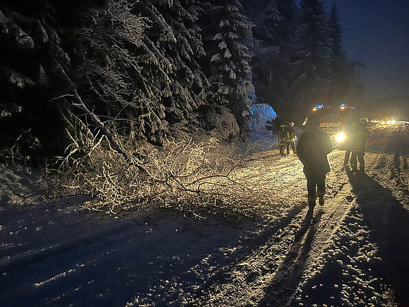 Nittenau Fire Department: storm damages on 02/02 - 02/03/2023