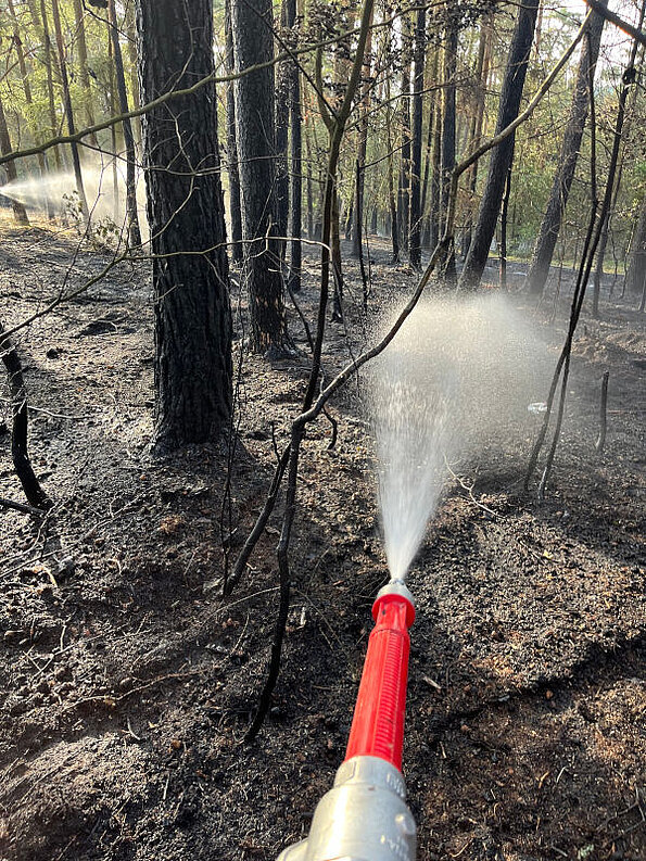 Großer Waldbrand am 11.07.2023