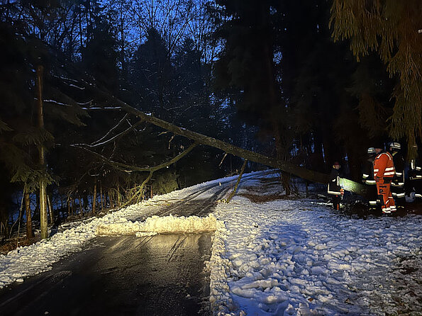 Nittenau Fire Department: storm damages on 02/02 - 02/03/2023