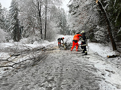 Nittenau Fire Department: storm damages on 02/02 - 02/03/2023