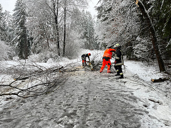 Nittenau Fire Department: storm damages on 02/02 - 02/03/2023