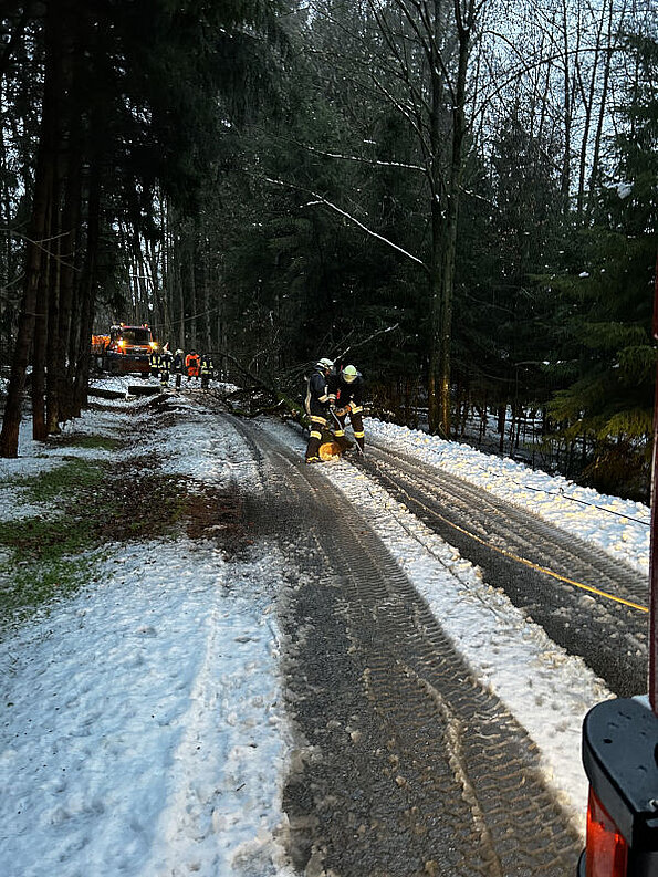 Nittenau Fire Department: storm damages on 02/02 - 02/03/2023