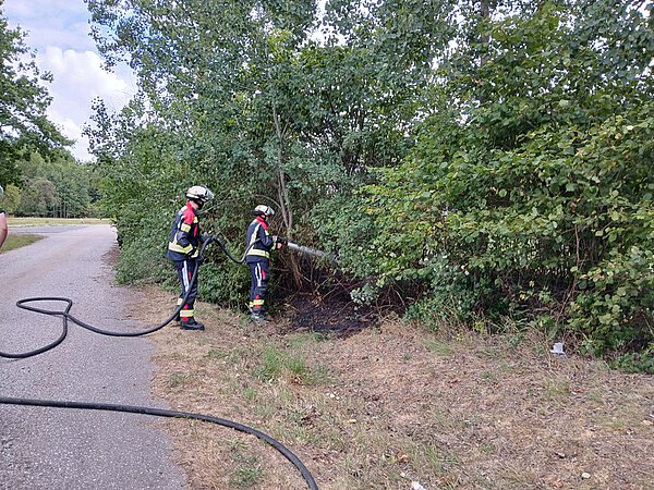 Flächenbrand