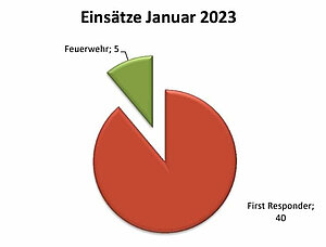 Einsätze Januar 2023