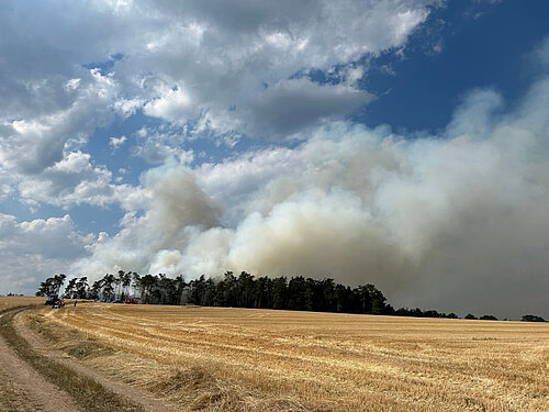 Major Forest Fire on 11th July 2023