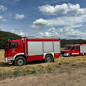 Vegetation fire