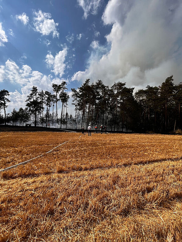 Großer Waldbrand am 11.07.2023