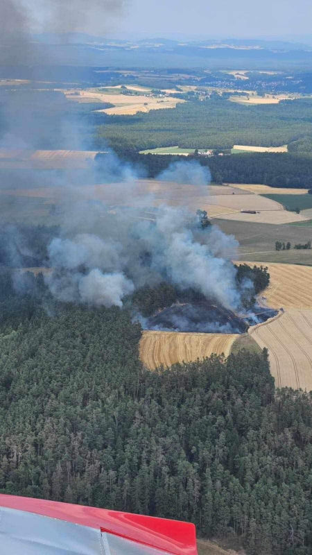 Major Forest Fire on 11th July 2023