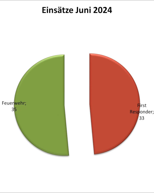 Einsatzstatistik Juni 2024